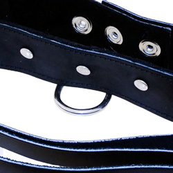 SportSheetsLeatherLeashAndCollar3.jpg