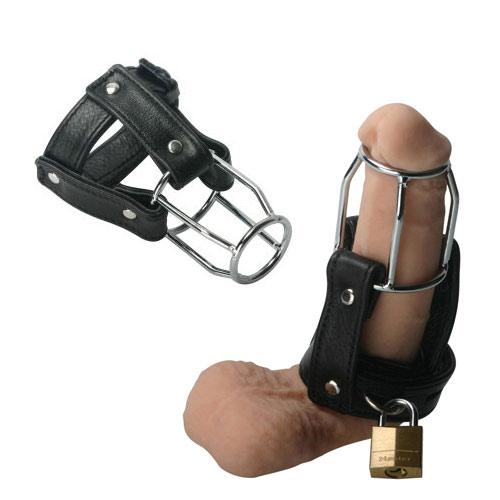 StrictLeatherStallionGuard0.jpg